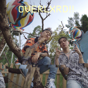 农村寡妇偷汉子HD
